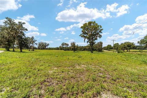 Terreno en venta en Reddick, Florida № 238111 - foto 10