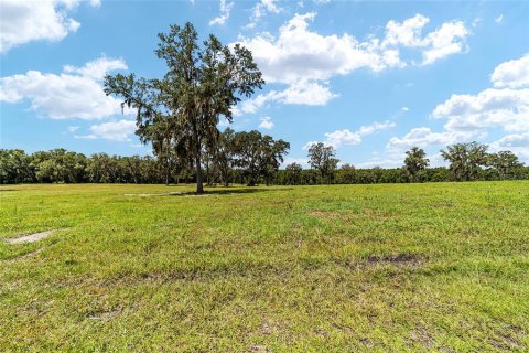 Terreno en venta en Reddick, Florida № 238111 - foto 11