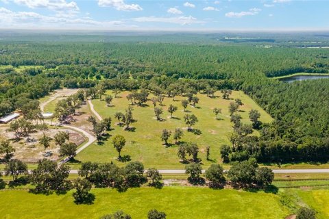 Terreno en venta en Reddick, Florida № 238111 - foto 2