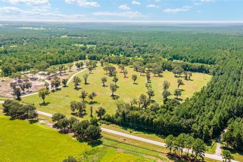 Terreno en venta en Reddick, Florida № 238111 - foto 4