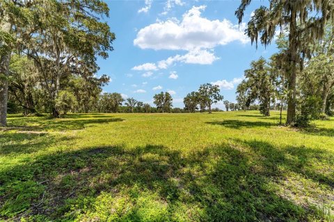 Terreno en venta en Reddick, Florida № 238111 - foto 12