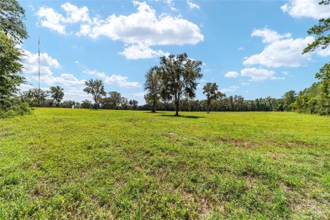 Terreno en venta en Reddick, Florida № 238111 - foto 15