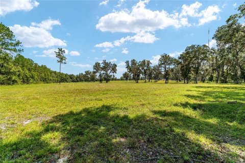 Terreno en venta en Reddick, Florida № 238111 - foto 13