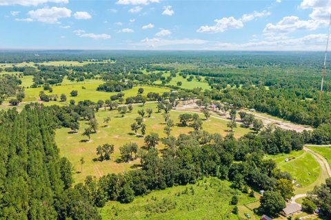 Terreno en venta en Reddick, Florida № 238111 - foto 8
