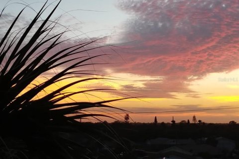 Condo in New Smyrna Beach, Florida, 1 bedroom  № 1528531 - photo 4