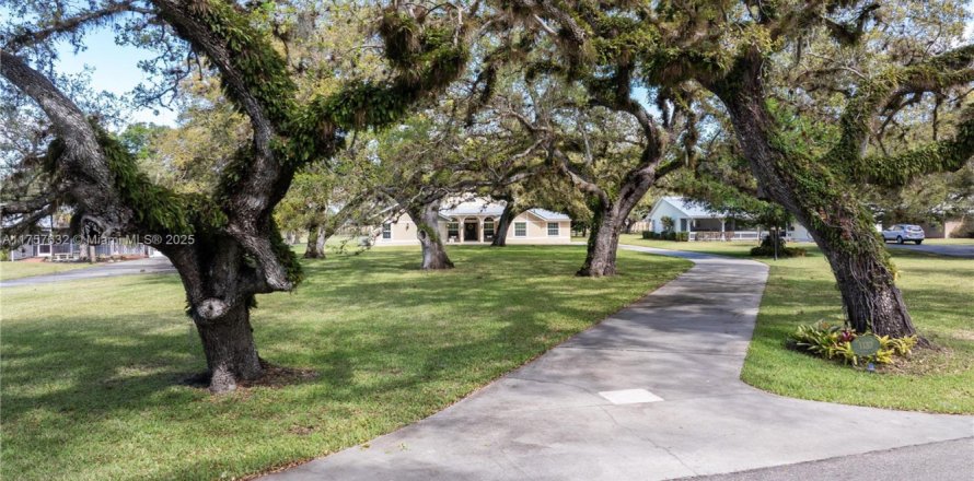 Дом в Лабель, Флорида 4 спальни, 316.43м2 № 1957638