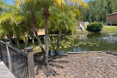 Adosado en alquiler en Tampa, Florida, 3 dormitorios, 182.18 m2 № 1719872 - foto 5