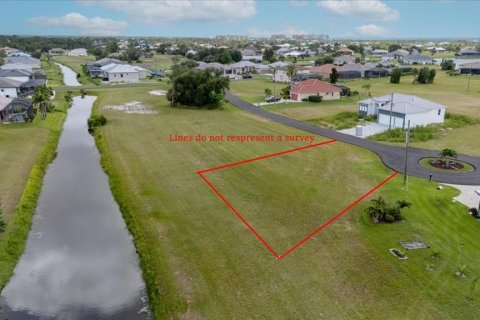 Land in Punta Gorda, Florida № 1789549 - photo 2