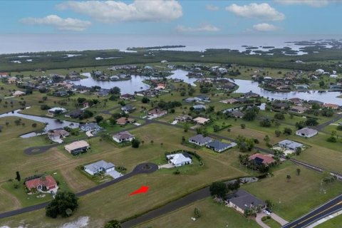 Land in Punta Gorda, Florida № 1789549 - photo 13