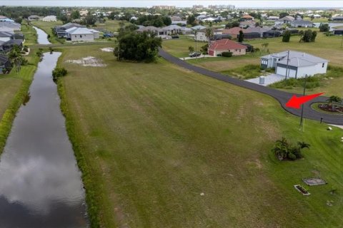 Land in Punta Gorda, Florida № 1789549 - photo 7