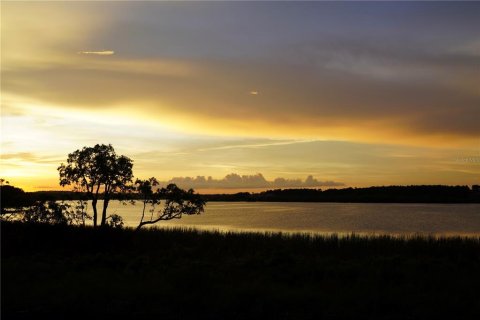 House in Winter Garden, Florida 4 bedrooms, 272.11 sq.m. № 2238000 - photo 13