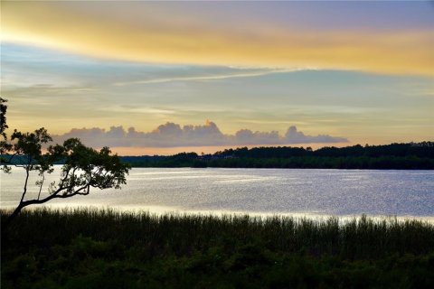 House in Winter Garden, Florida 4 bedrooms, 272.11 sq.m. № 2238000 - photo 9