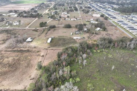 Terreno en venta en Auburndale, Florida № 2213347 - foto 4