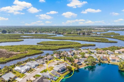 Купить виллу или дом в Брейдентон, Флорида 7 комнат, 215.53м2, № 1829110 - фото 3