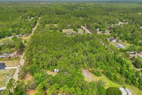 Land in Middleburg, Florida № 2097844 - photo 9