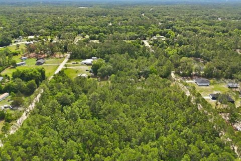 Land in Middleburg, Florida № 2097844 - photo 13