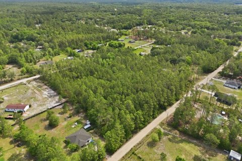 Land in Middleburg, Florida № 2097844 - photo 16