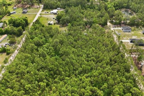 Land in Middleburg, Florida № 2097844 - photo 18