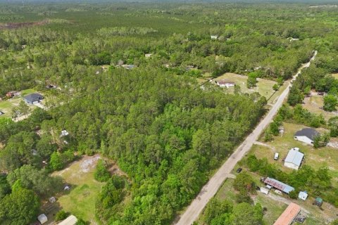 Land in Middleburg, Florida № 2097844 - photo 10