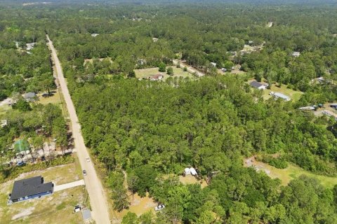 Land in Middleburg, Florida № 2097844 - photo 8