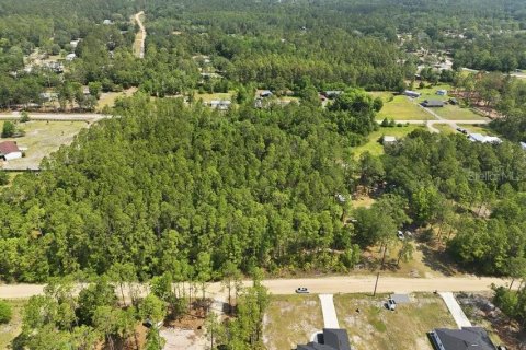 Land in Middleburg, Florida № 2097844 - photo 3