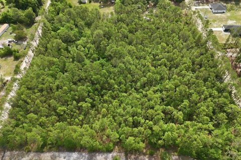 Land in Middleburg, Florida № 2097844 - photo 19