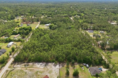 Land in Middleburg, Florida № 2097844 - photo 22
