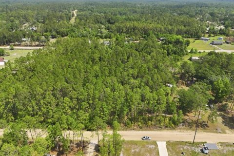 Land in Middleburg, Florida № 2097844 - photo 4