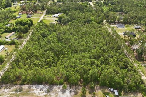 Land in Middleburg, Florida № 2097844 - photo 21