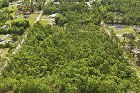 Land in Middleburg, Florida № 2097844 - photo 17