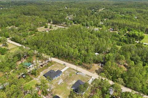 Land in Middleburg, Florida № 2097844 - photo 7