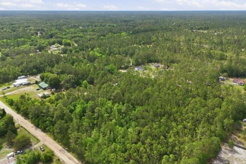 Land in Middleburg, Florida № 2097844 - photo 15