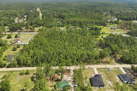 Land in Middleburg, Florida № 2097844
