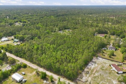 Land in Middleburg, Florida № 2097844 - photo 14