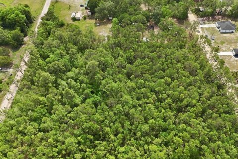 Land in Middleburg, Florida № 2097844 - photo 20