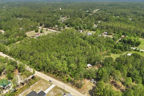 Land in Middleburg, Florida № 2097844 - photo 6