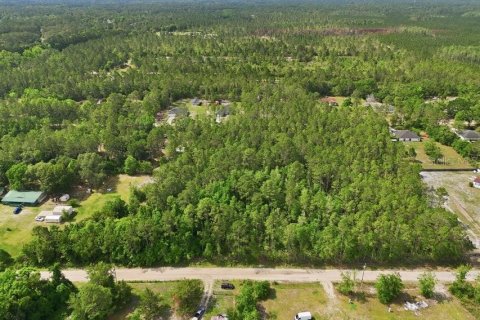 Land in Middleburg, Florida № 2097844 - photo 11