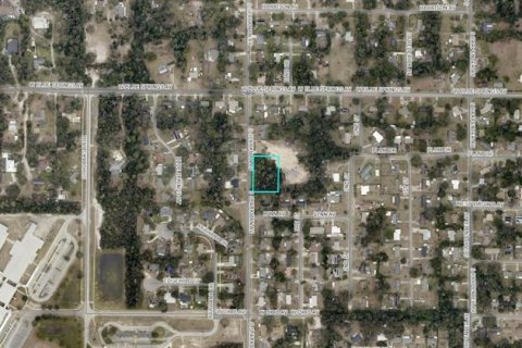 Land in Orange City, Florida № 2370922 - photo 2