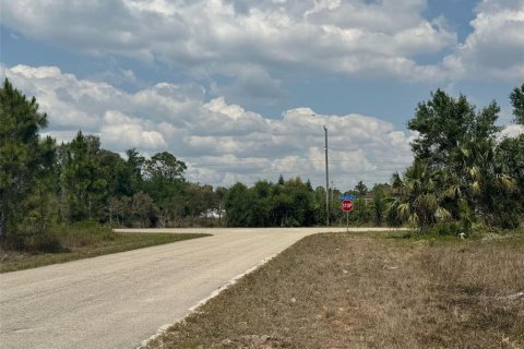 Land in Fort Myers, Florida № 2228610