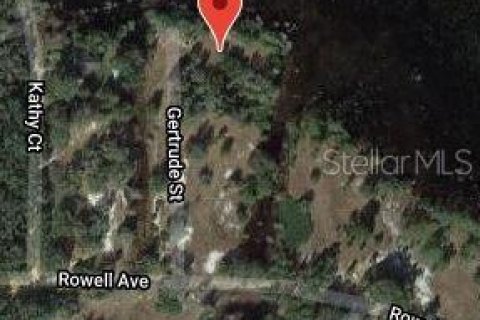 Land in Interlachen, Florida № 2160238 - photo 2