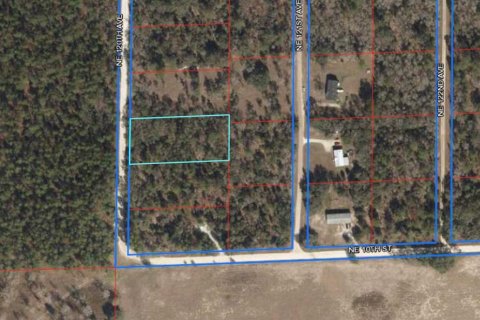 Land in Williston, Florida № 2219318