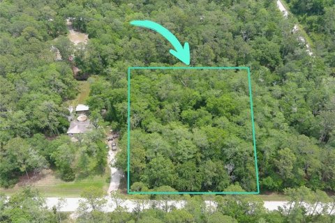 Land in Bunnell, Florida № 2165492