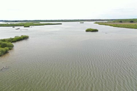 Propiedad comercial en venta en Port Orange, Florida, 450.76 m2 № 1346090 - foto 11