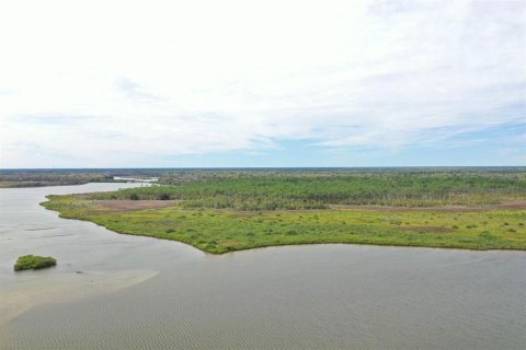 Propiedad comercial en venta en Port Orange, Florida, 450.76 m2 № 1346090 - foto 15