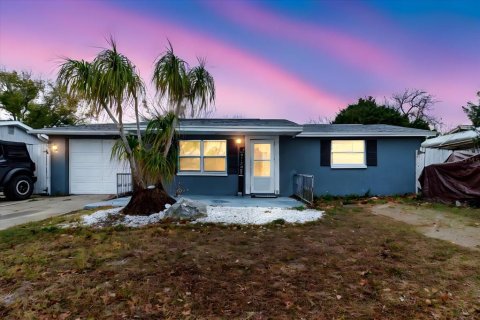 Villa ou maison à Port Richey, Floride 3 chambres, 160.91 m2 № 2142517