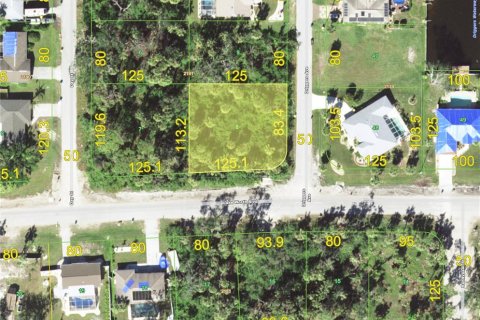 Land in Port Charlotte, Florida № 2161323
