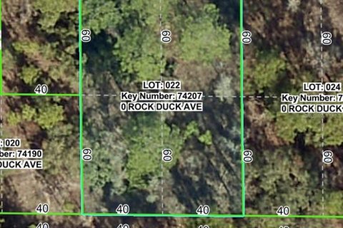 Land in Brooksville, Florida № 2159832