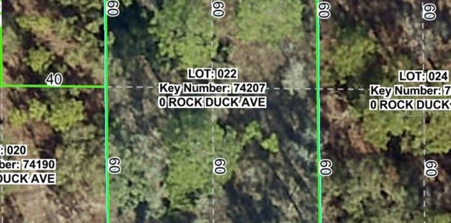 Land in Brooksville, Florida № 2159832