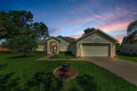 House in Tampa, Florida 4 bedrooms, 201.51 sq.m. № 1803383 - photo 1