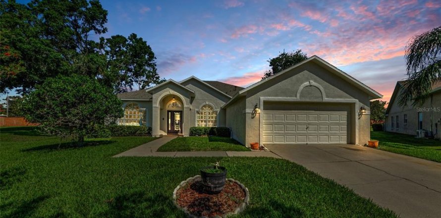 House in Tampa, Florida 4 bedrooms, 201.51 sq.m. № 1803383